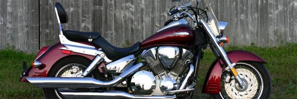 bcprzygo Profile Banner