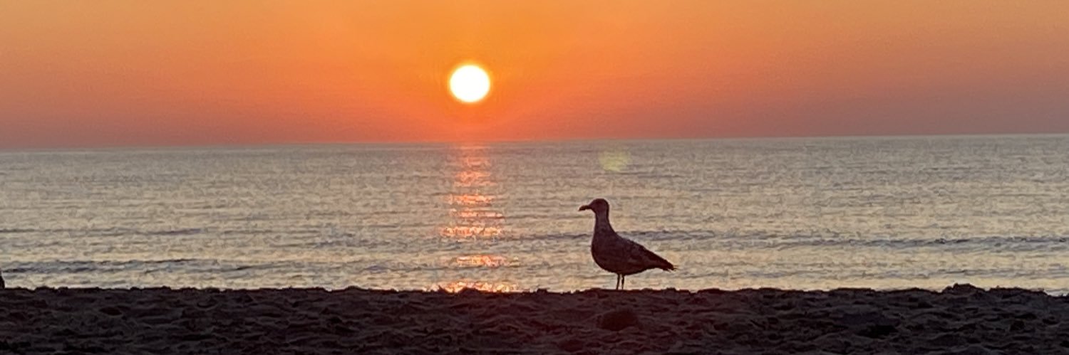 Wandering_Grace banner