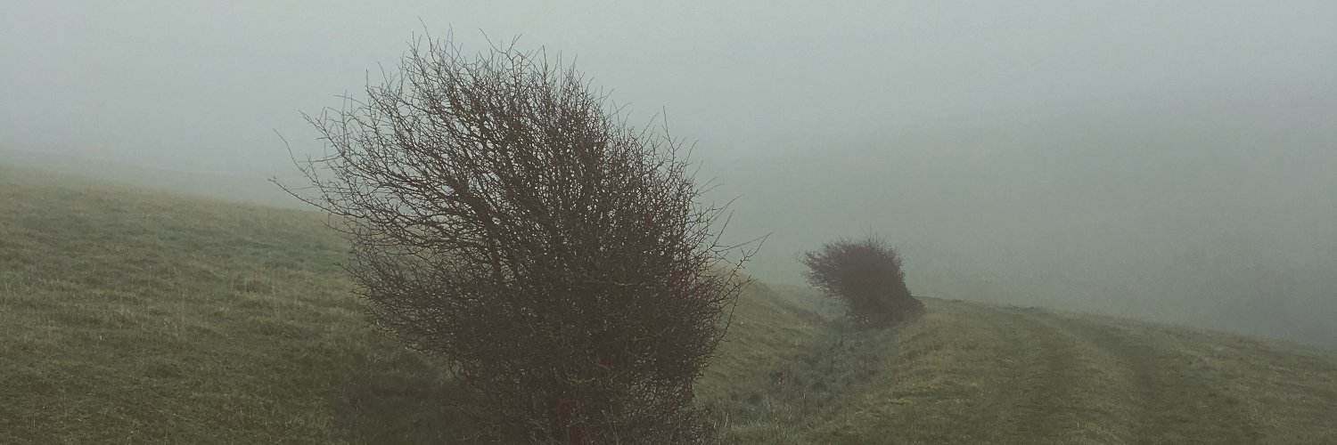 Callum Saunders banner