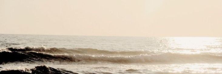 ali ⋆˙⟡'s banner