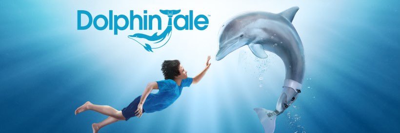 dolphintale's profile banner image