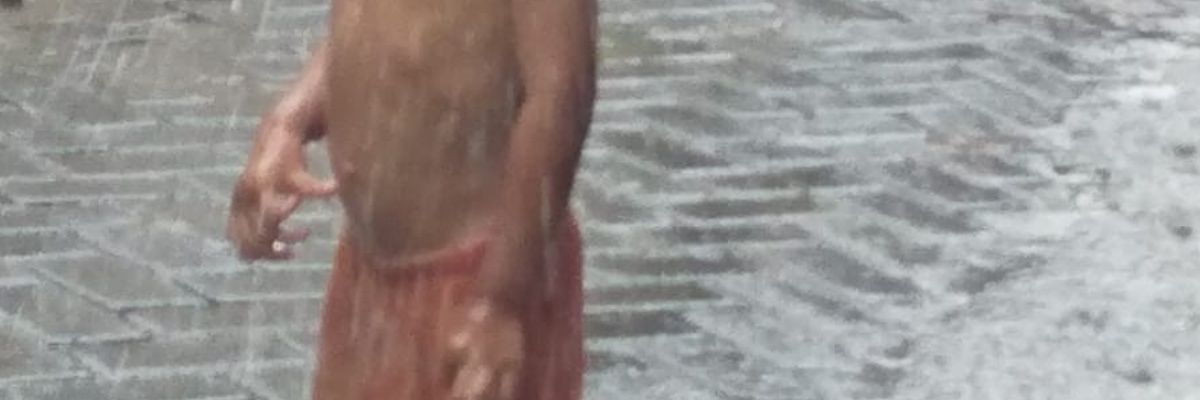 cryptobos banner
