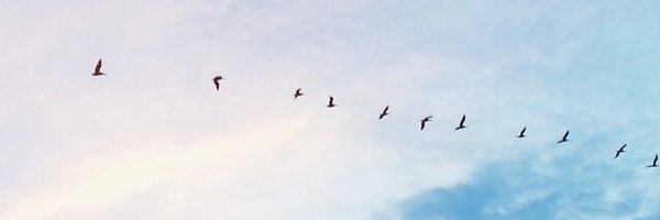 katrinaeuy Profile Banner