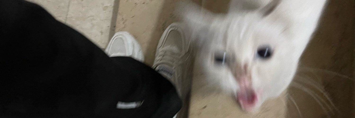 Oi banner