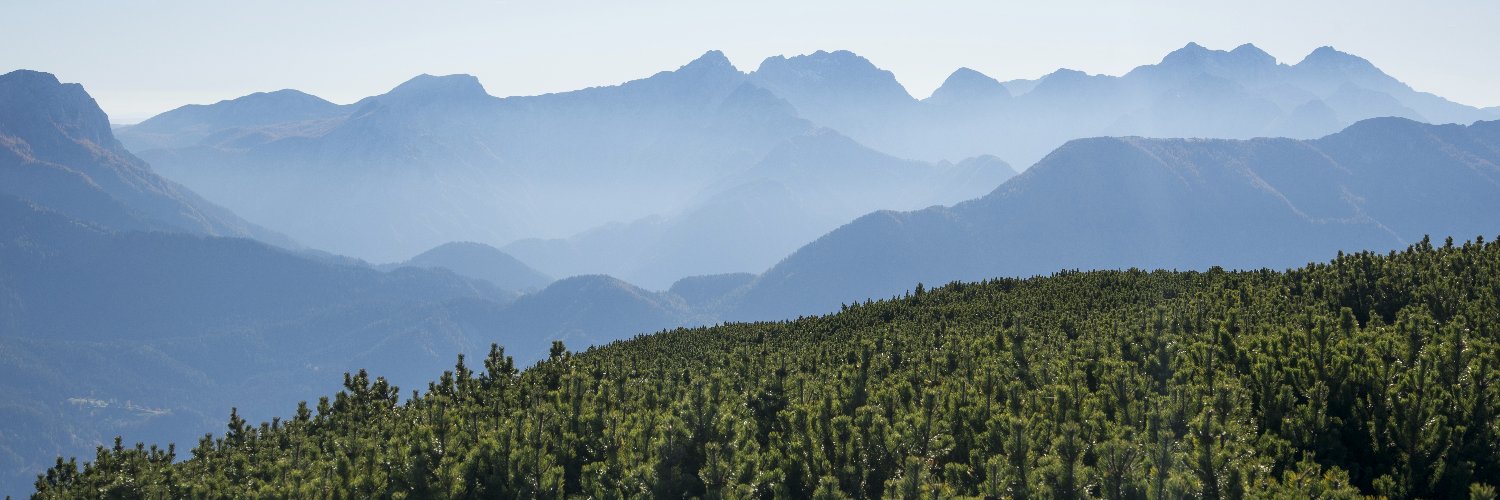 Benito Aramando banner