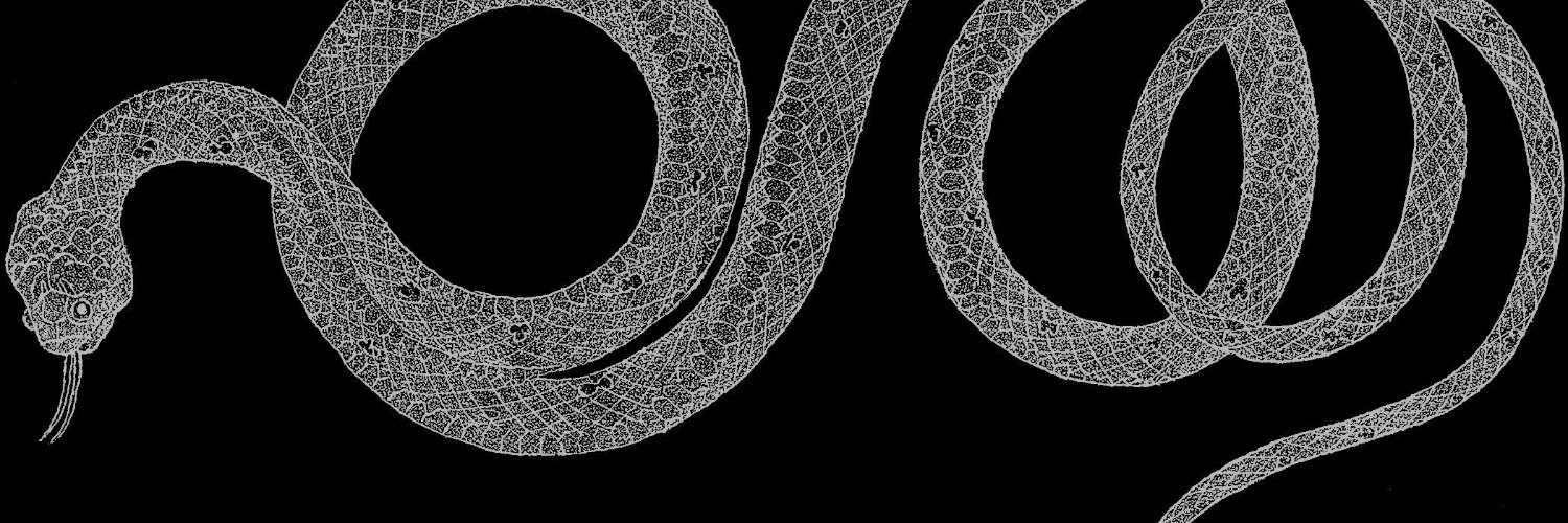𝕜𝕒𝕣𝕕𝕖𝕔. banner