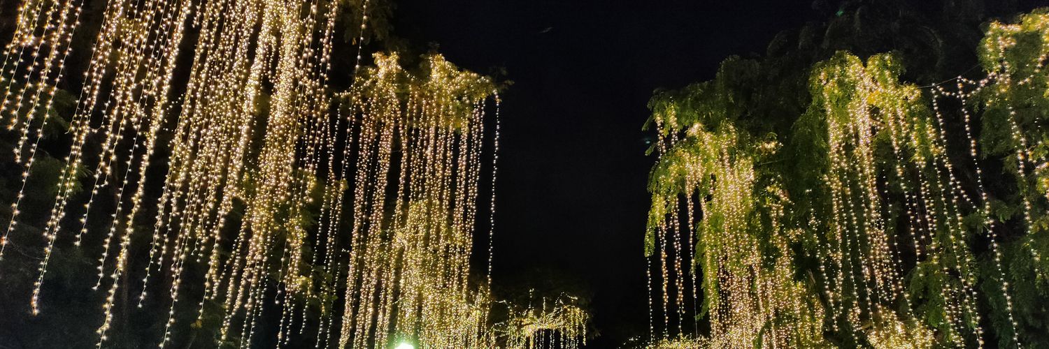 tum_soki's profile banner image