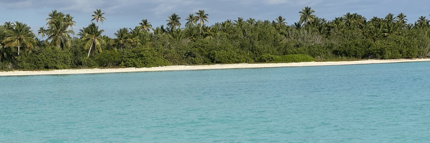 Sledgehammers banner