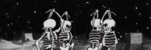 kalitrap's profile banner image