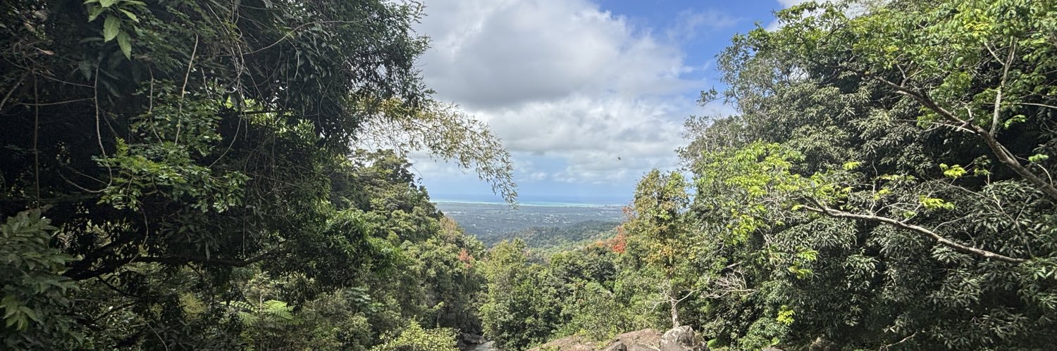 Stephanie I Anderson 🐝 banner