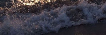 taylercaffee's profile banner image