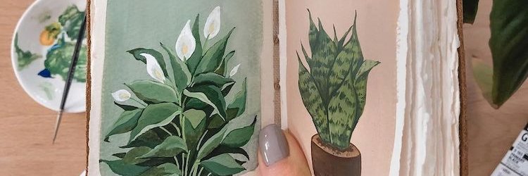 MarianLanten's profile banner image