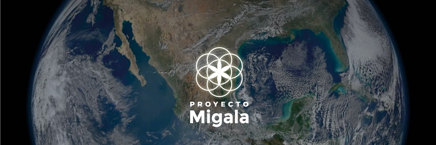 Proyecto Migala banner