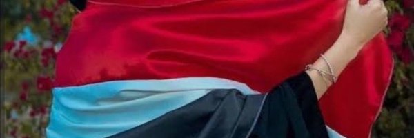 se_ir_ Profile Banner
