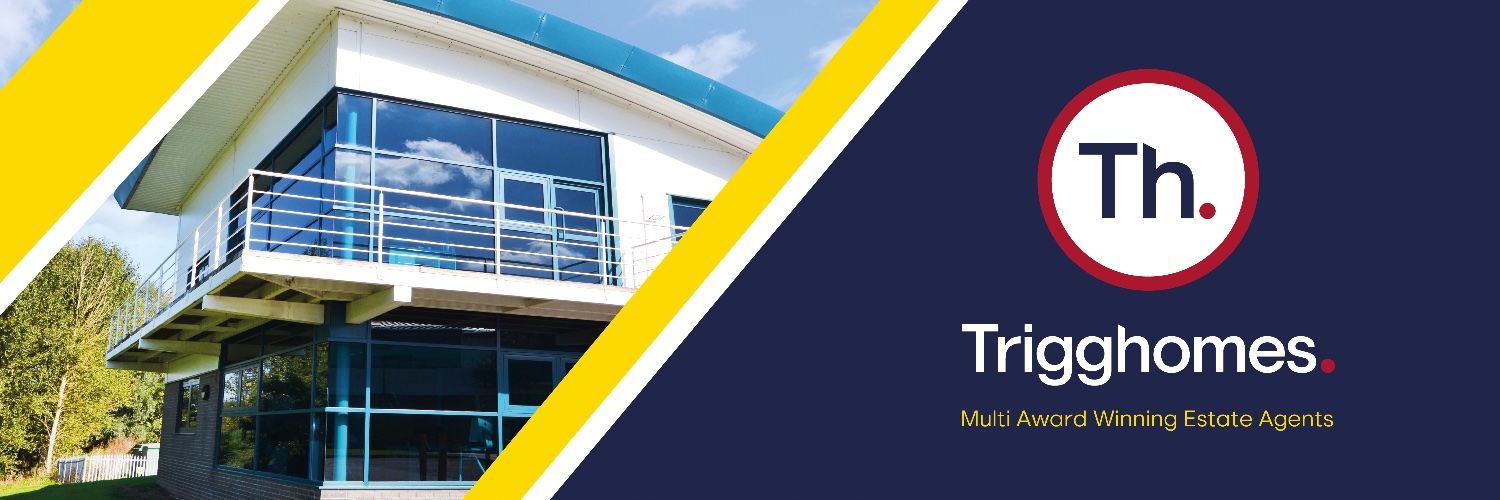 TriggandCo's profile banner image