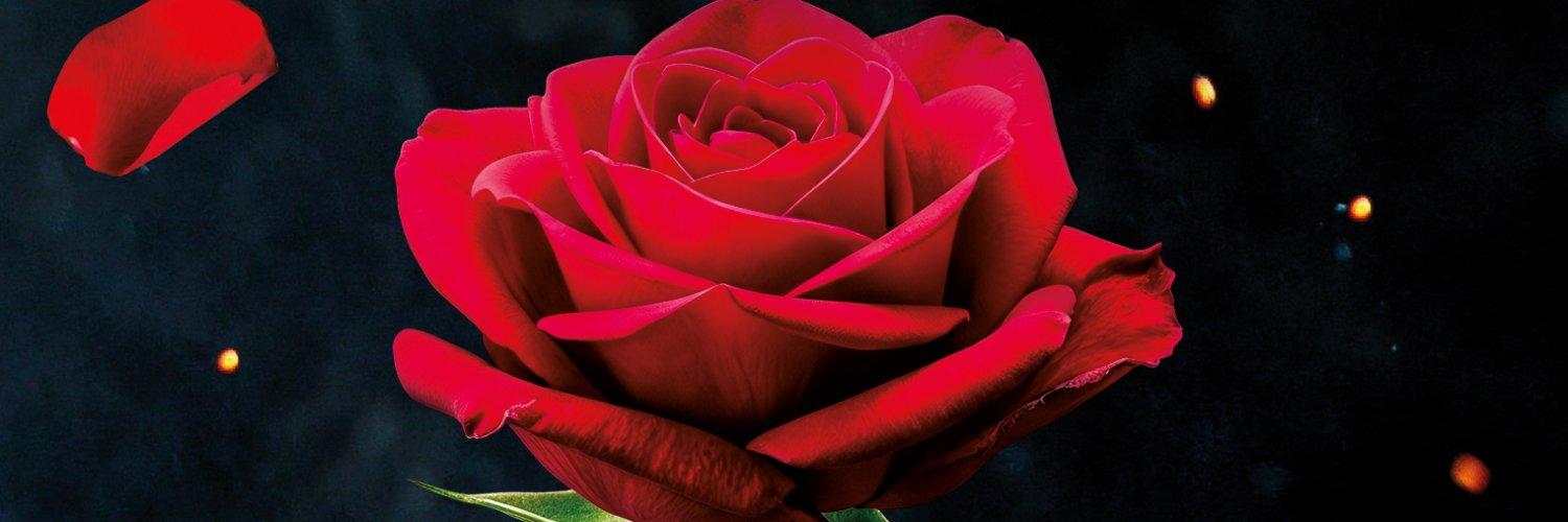 LJohnsonSmith23's profile banner image