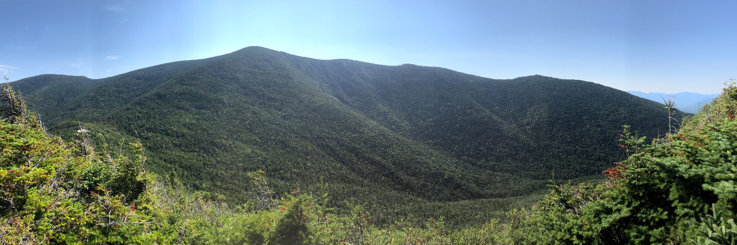 White Mountain Walker banner