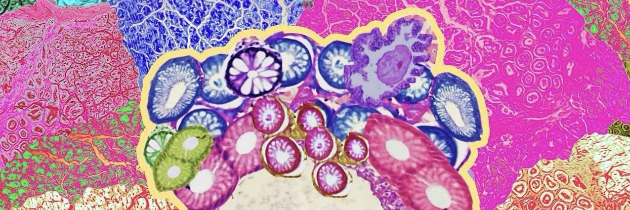 Gelavizh Keshtmand, MD banner