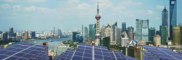 NewClimateEcon Profile Banner