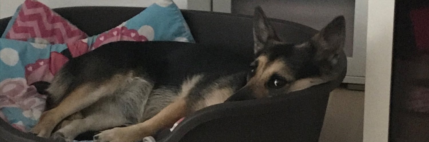 Bea Blond 💯 (Bio)🇩🇪🥨🍺 banner