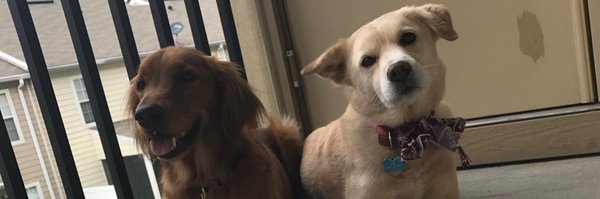 dr_hmalcolm Profile Banner