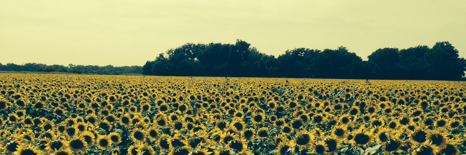 FeleciaClark401's profile banner image