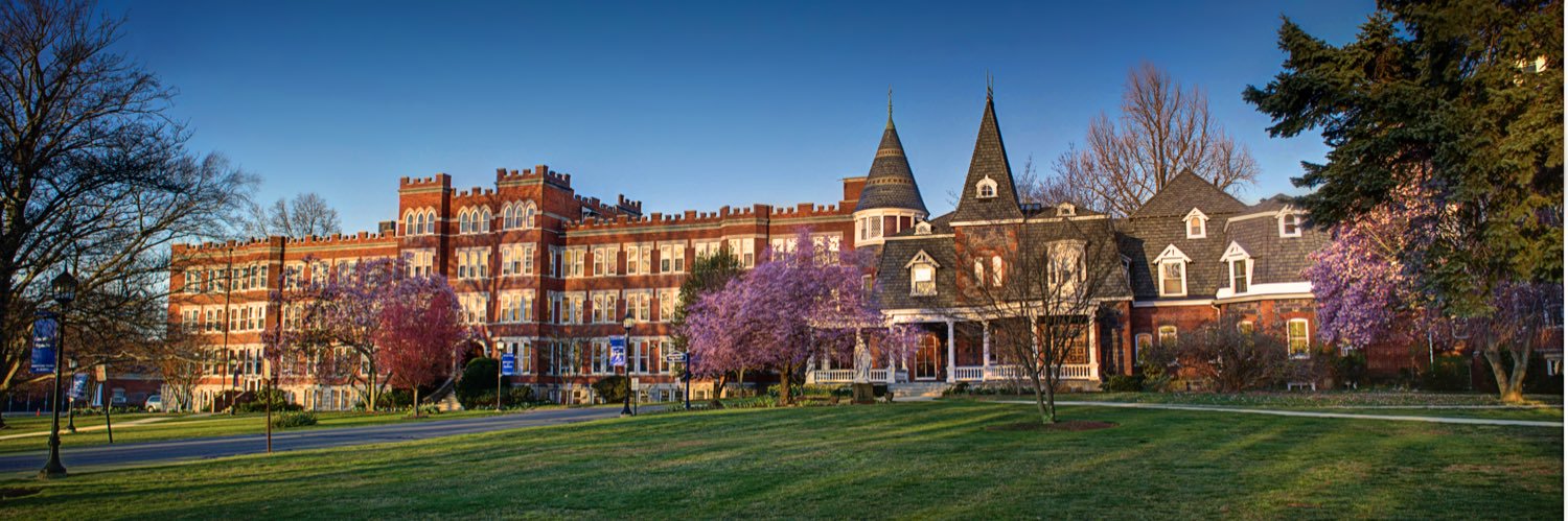 Lauraltonhall's profile banner image
