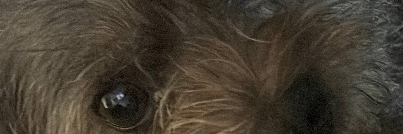 tinistaaa4ever's profile banner image