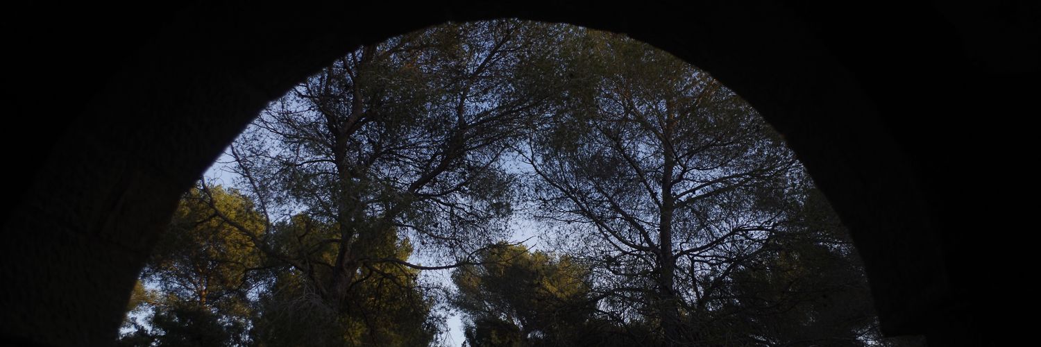 Sanson national-kiffeuse 🩷 banner