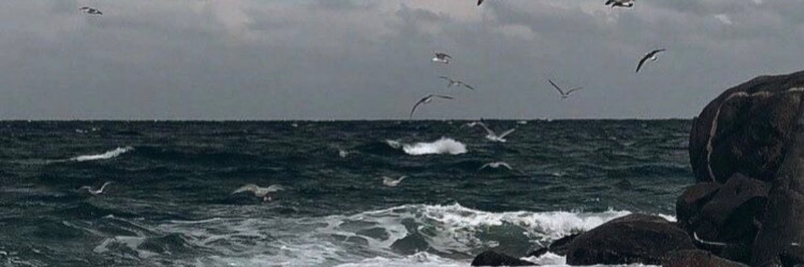 2_uiiq's profile banner image
