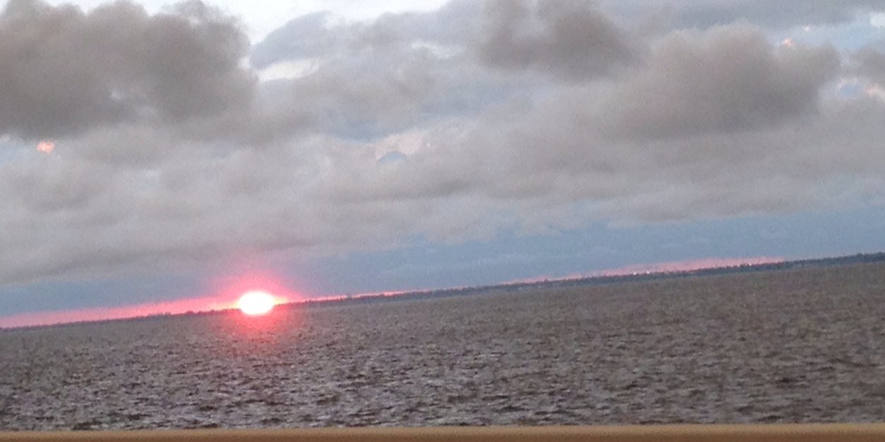 Kelly McDonald banner