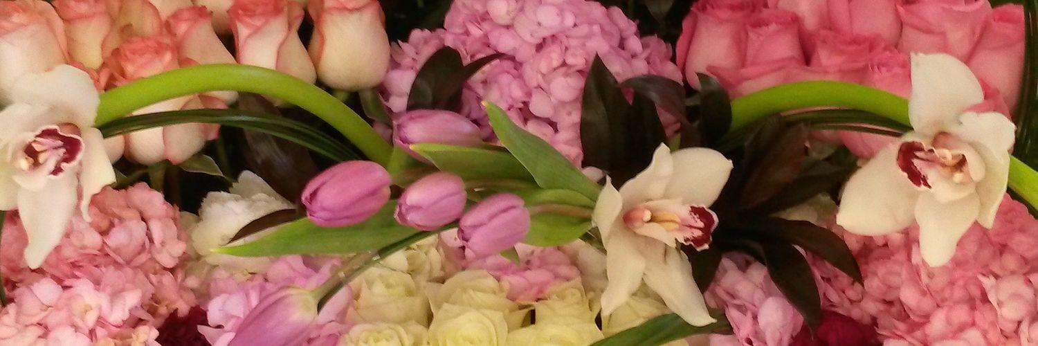 الكتاب باليا عنوان banner