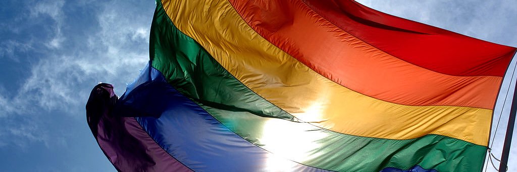intersekstr's profile banner image