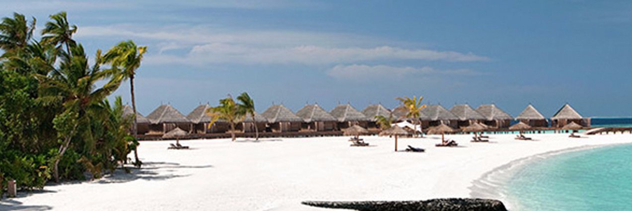 AfroCaribbean's profile banner image