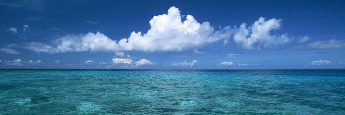 M_Garabedian's profile banner image
