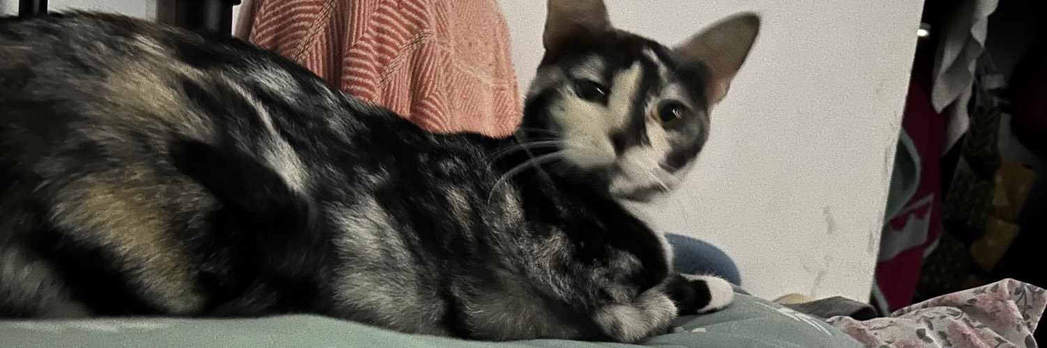 Steff - A’tin | LH44 banner