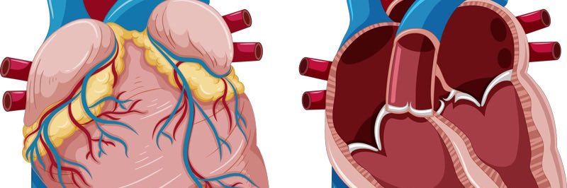 dravalentinal's profile banner image