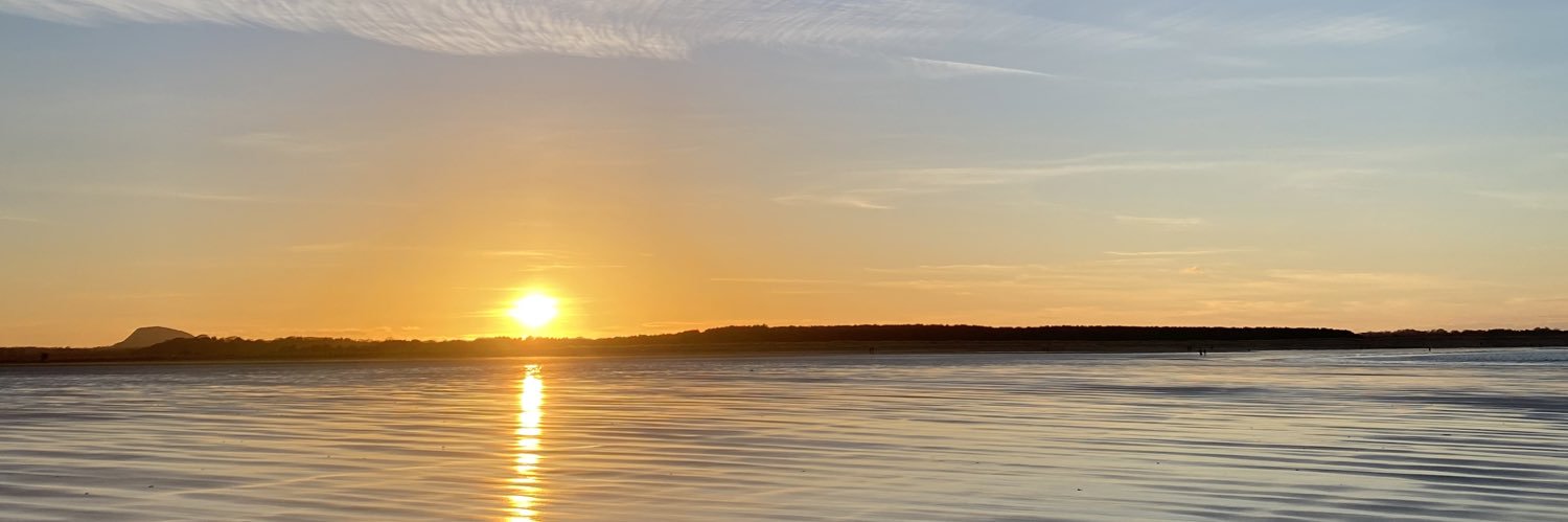 delphidoig's profile banner image
