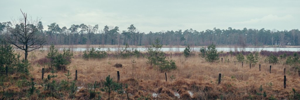 clrblnd's profile banner image