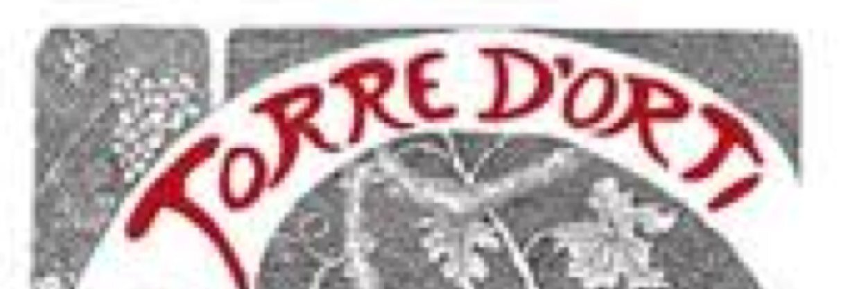 torredorti's profile banner image