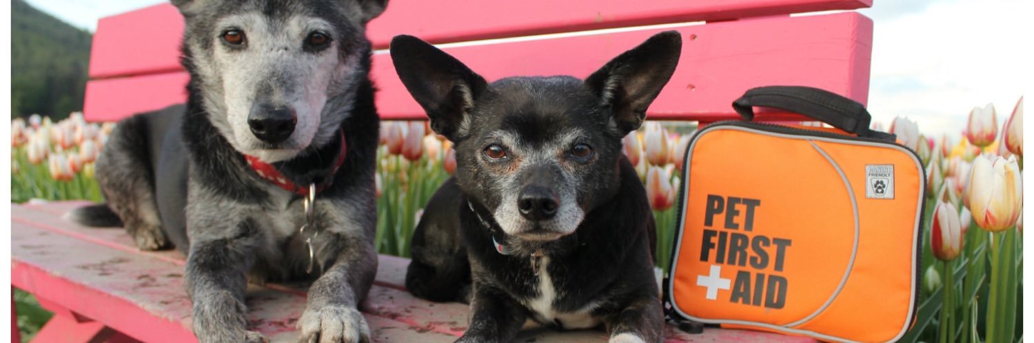 Walks 'N' Wags PFA banner