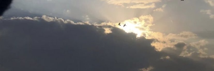 lalooooosh55's profile banner image