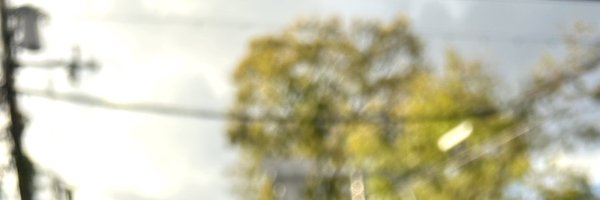 StuffedSnake012 Profile Banner
