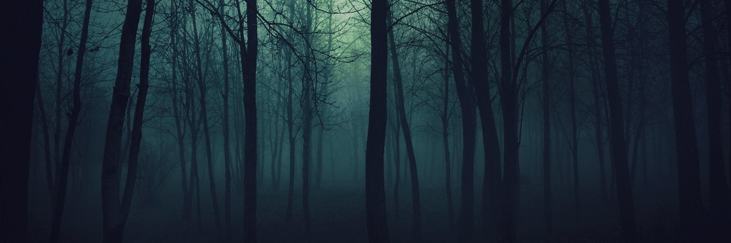 Timi_CR 🇪🇺 banner