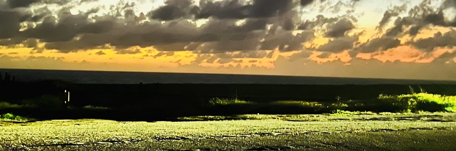 dutdut78's profile banner image