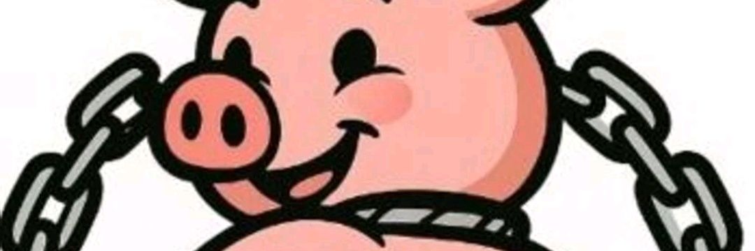 PiggyLin045's profile banner image