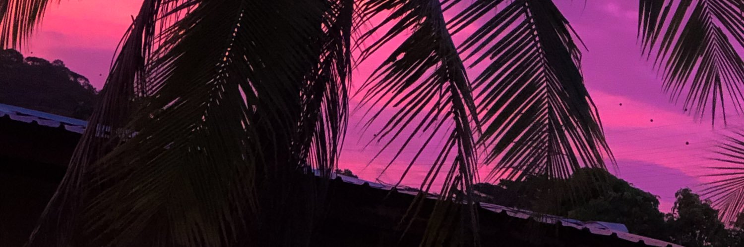itsskingd's profile banner image