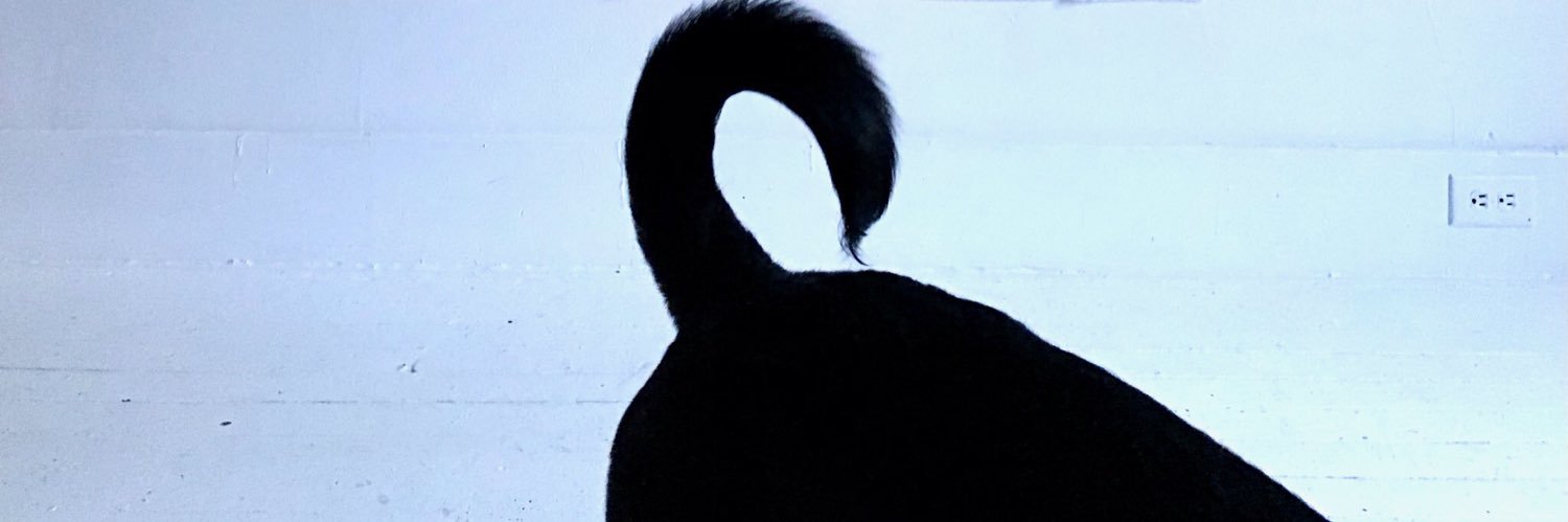 acuchetto's profile banner image