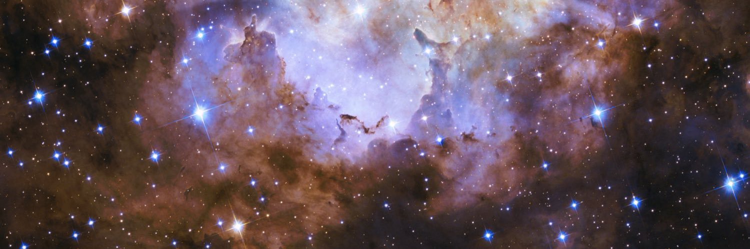 caarlbitcoin's profile banner image