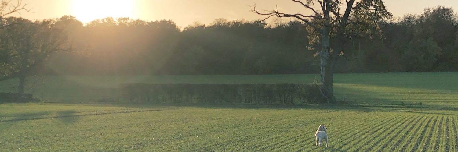 JacksonNgUK's profile banner image
